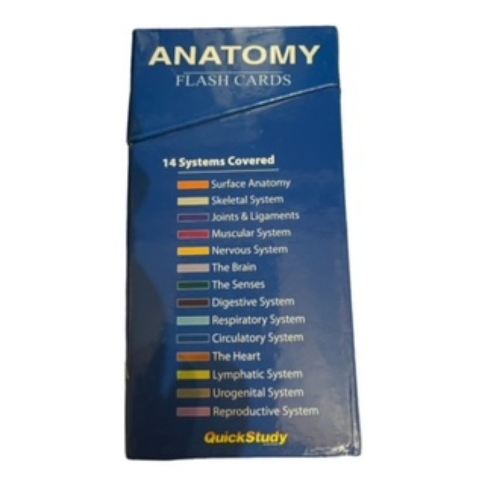 Anatomy (Quickstudy (Flash Cards)) - Cards By BarCharts, Inc. - Picture 5 of 8